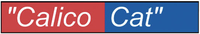 Calico Cat