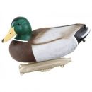 Lokkende bilder / -diagram