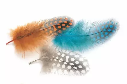 Veniard Guinea Body Feathers - Øvrige fjær - 40400400040 - 1