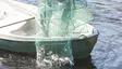 Aapo Kalatupa 5M - Katsar - 6418252939100 - 2