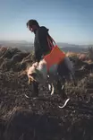 Non-stop Dog Rescue Sling Pro - Andre hundeprodukter - 7071652297530 - 2