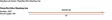 Rio PowerFlex Ultra Shooting Line - Myke - 730884196130 - 3