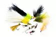 Superflies Rainbow Trout Selection - Flysortiment - 8859202538970 - 1