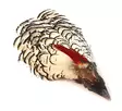 Veniard Amherst Pheasant Head No.1 - Hud, vinger og hode - 5056304600007 - 1
