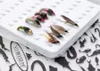 Vision Fish Slim Boxes - Fluesker - 6417512818780 - 3