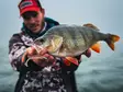 VMC Dart Jig Matt Craw - Jiggskaller - 3422993062600 - 3