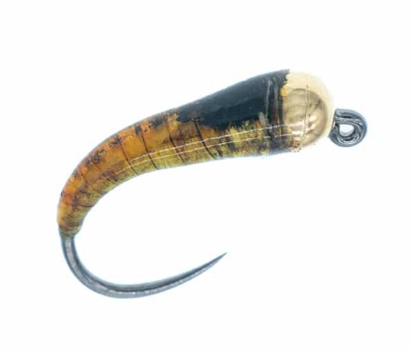 Glue Larva with Gold Bead - Våte fluer - 8859202210 - 1
