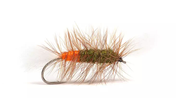 Pompero Olive / Fl. Orange Hot Spot - Andre laksefluer - 8859202536440 - 2