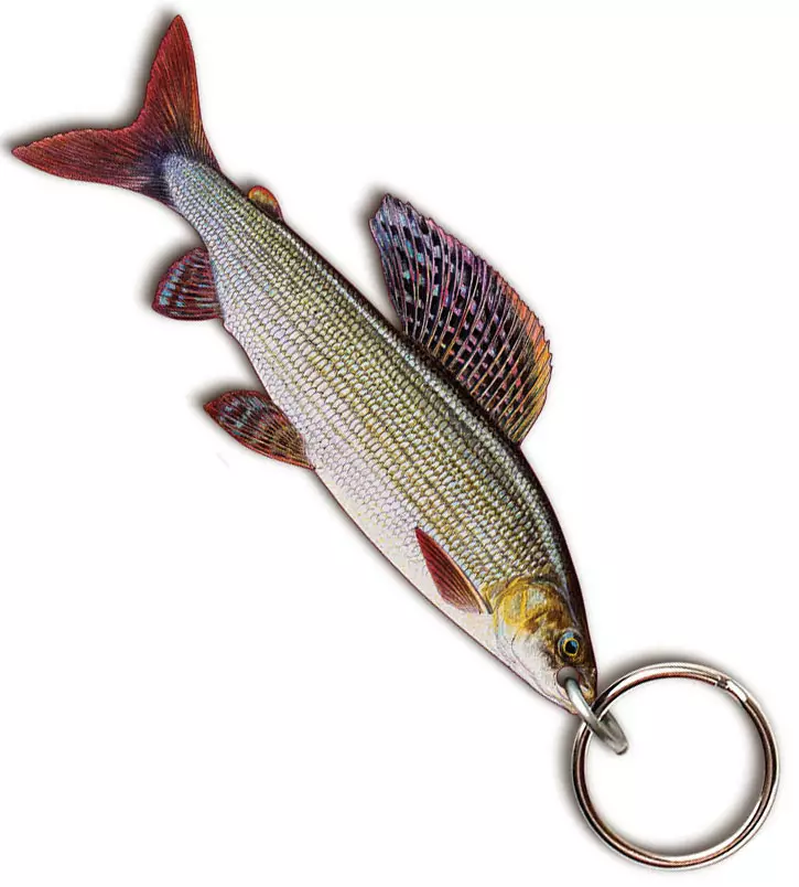 Sakke Yrjölä fish key ring - Trykksaker - 202501294560 - 1