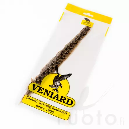 Hen Pheasant Centre Tails - Rumper - 5056304604616 - 2