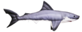 Gaby Great White shark 120cm - Myke fisker - 5905279175761 - 1