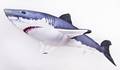 Gaby Great White shark 120cm - Myke fisker - 5905279175761 - 2