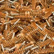 BoreTech Bronze Bore Brush 3 Pack - Andre våpenvedlikeholdsprodukter - 667739170031 - 6