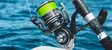 Daiwa 20 BG MQ - Store saltvanns-spinnesneller - 043178595831 - 6