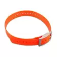 Garmin 1inch Collar Strap Orange - Garmin hundesporer - 753759992521 - 1