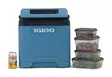 Igloo IE27 Thermoelectric Cooler 12V/230V 27 l Blue - Kyllådar og -vesker - 7315091520171 - 7