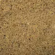 Mikado BaitNow Method Groundbait Pumpqin 800g - Lokkefôr for feeder & method - 5900637156741 - 2
