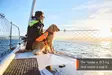 Non-stop Dogwear Protector Life Jacket - Hundjakker og -vester - 7071652173421 - 9