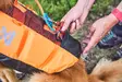 Non-stop Dogwear Protector Life Jacket - Hundjakker og -vester - 7071652173421 - 8