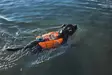 Non-stop Dogwear Protector Life Jacket - Hundjakker og -vester - 7071652173421 - 4