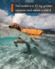 Non-stop Dogwear Protector Life Jacket - Hundjakker og -vester - 7071652173421 - 10