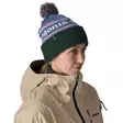 Patagonia Powder Town Beanie Park Stripe: Barnacle Blue - Luer - 198077131601 - 2