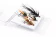 Salmon Flies Selection - Finland Special - Flysortiment - 8859202531391 - 1