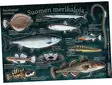 Suomen merikaloja - Kalatarrat - Trykksaker - 6430048500691 - 1