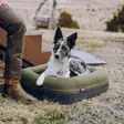 Yeti Dog Bed Small - Hundesenger - 888830612231 - 6