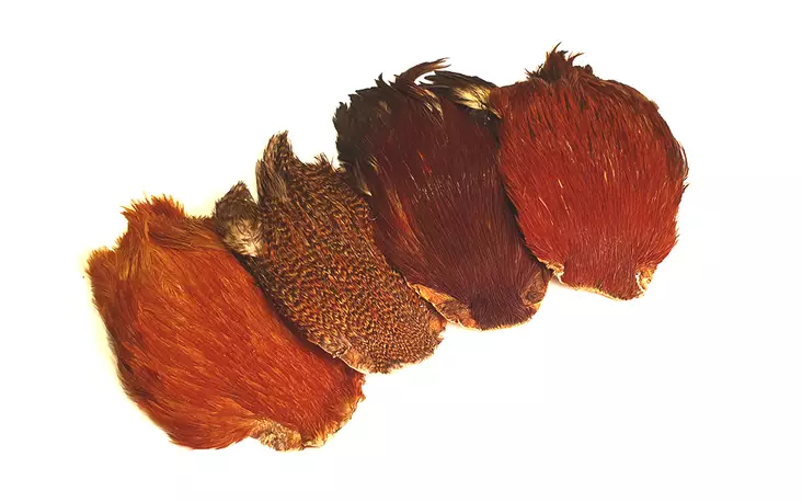 FTS Indian Cock Cape - Andre nakker og sadler - 6417512011 - 1