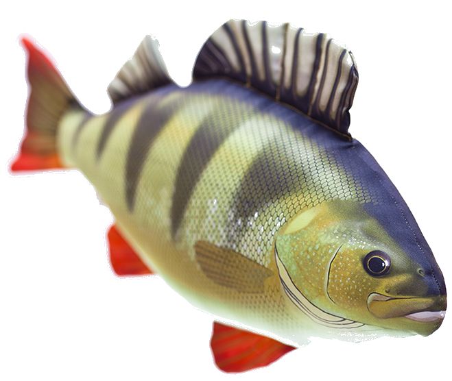 Gaby Ahven Pehmokala - Myke fisker - 5905279175051 - 1