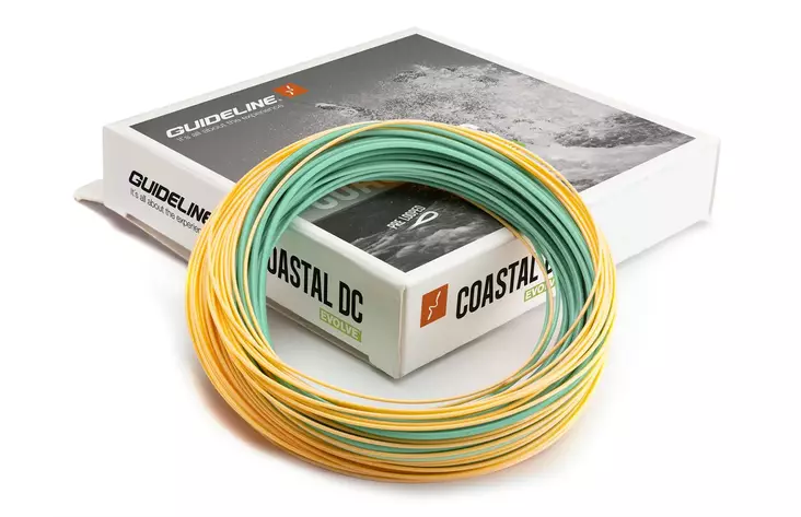 Guideline Coastal DC Evolve Slow Intermediate - Synklinjer - 7033841045841 - 1