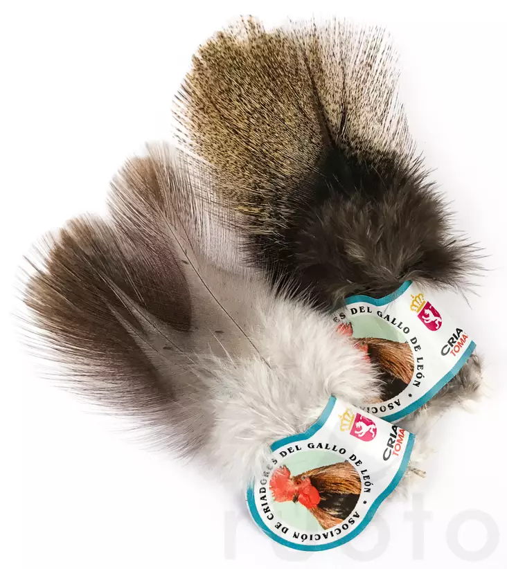 Hareline Coq De Leon - Øvrige fjær - 40450200501 - 1