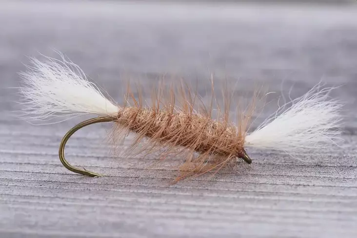 Pompero Light Brown - Andre laksefluer - 8859202531551 - 1