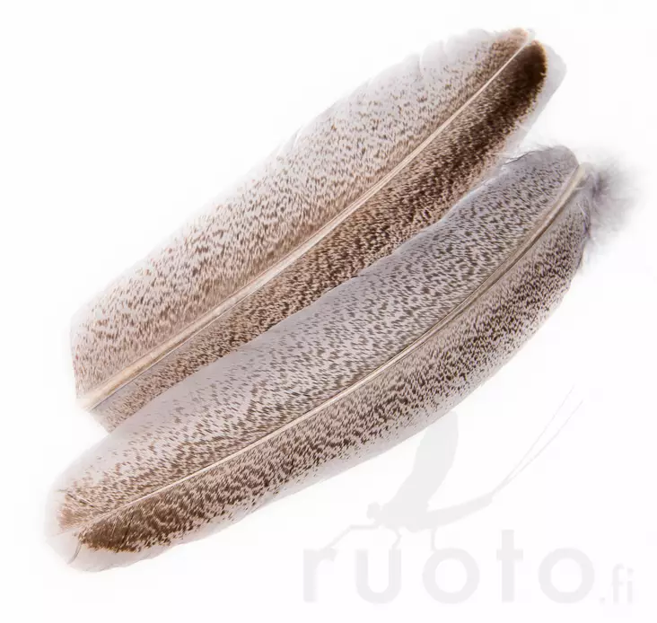 Oak Mottled Turkey Wing Quills - Klassiske fjær - 5056304606122 - 1