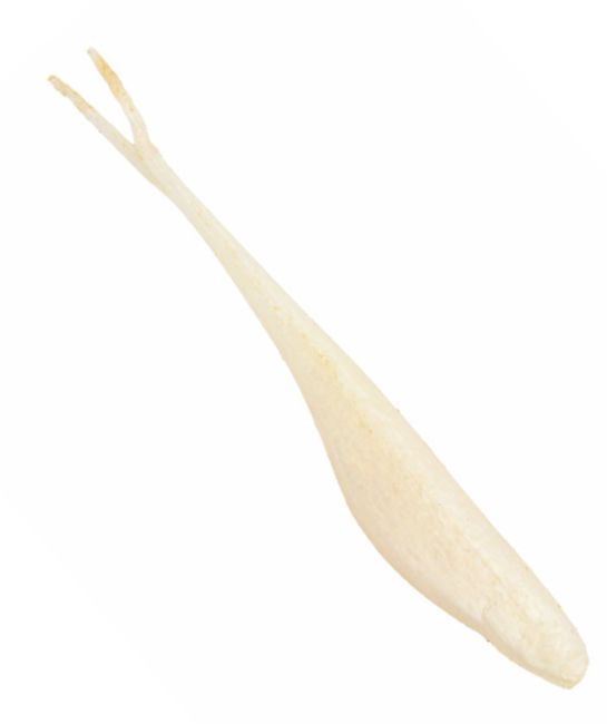 Z-Man Jerkshadz 3,5" - Dropshot-jigger - 173401 - 1