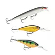 Rapala Essentials Zander Sunny 2.0 - Beitesortimenter - 022677384092 - 2