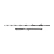 Penn Regiment IV Jig Cast 6' 20-30lb - Speed & vertical jigging-stenger - 031324001992 - 2