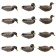 Final Approach Live Full Body Mallards 12pcs - Lokkende bilder / -diagram - 071617045602 - 1