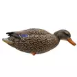 Final Approach Live Full Body Mallards 12pcs - Lokkende bilder / -diagram - 071617045602 - 11