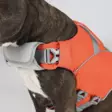 Hundra Dog Life Jacket - Hundjakker og -vester - 6438347048432 - 3