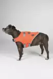 Hundra Dog Life Jacket - Hundjakker og -vester - 6438347048432 - 5