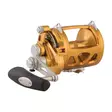 Penn International 30VISW Gold - Lette kystsneller - 031324167032 - 1