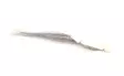 Surffilauta Silver Streamer - Streamere og igler - 8859202530752 - 2
