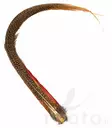 Golden Pheasant Complete Tail - Rumper - 40450100022 - 3