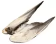 Veniard Mallard Duck Wings - Hud, vinger og hode - 5056304601943 - 2