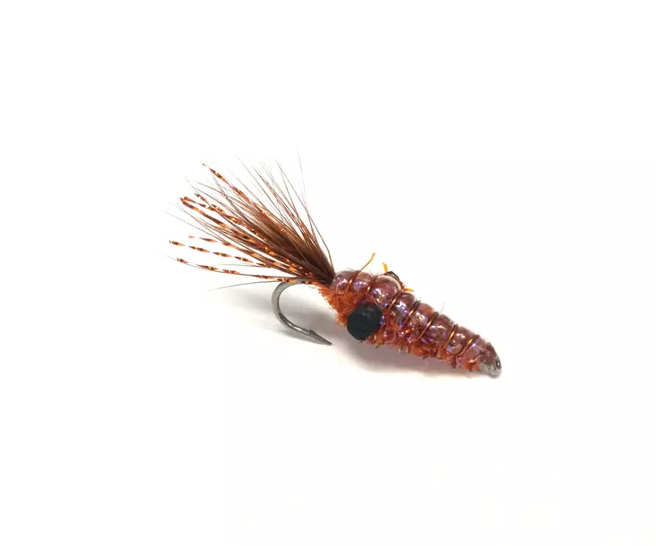 Copper Shrimp - Krepsereker - 7033840463752 - 1