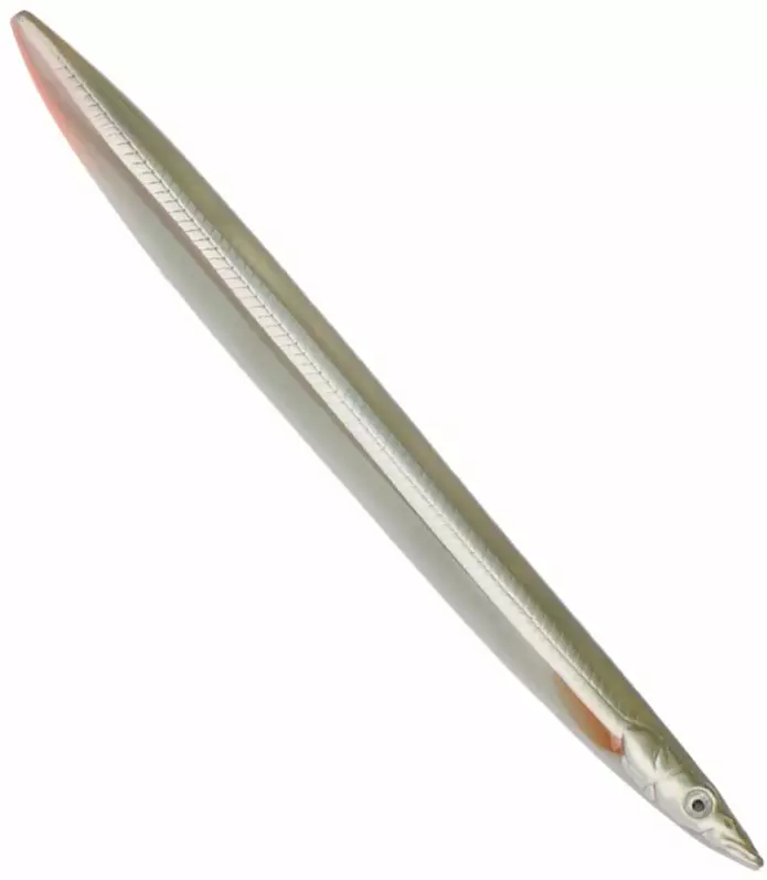 Savage Gear 3D Line Thru Sandeel 19g - Kjepphestene - 1710010002 - 1