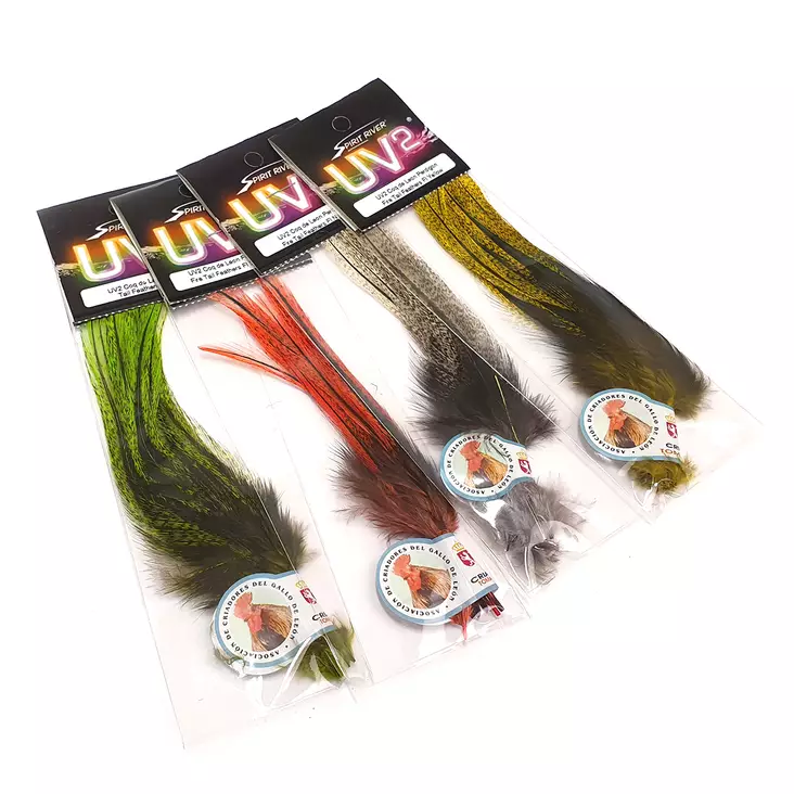 UV2 Coq De Leon Perdigon Fire Tail Feath - Øvrige fjær - 40450200502 - 1