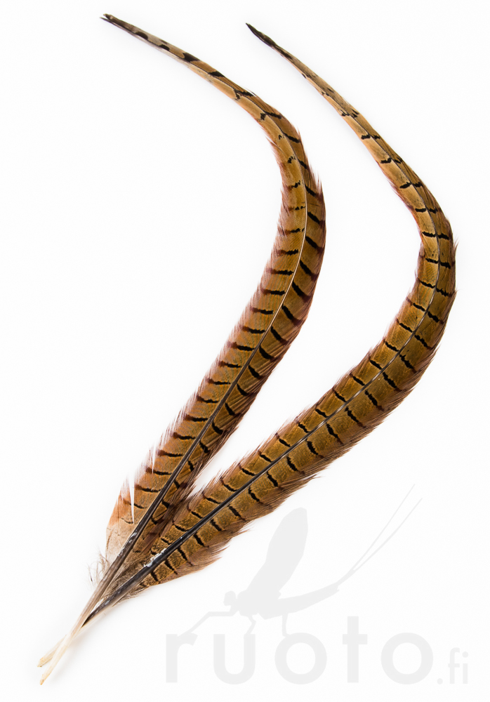 Veniard Cock Pheasant Centre Tails - Rumper - 404503000022 - 1